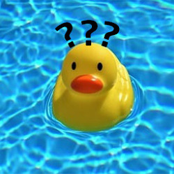 Wohin mit dem Abwasser?    