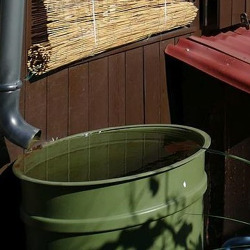 Wie viel Bewässerung braucht der Garten?    
