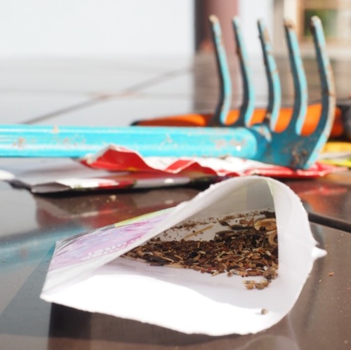 Saatgutmischungen: Was ist wirklich drin? &nbsp; &nbsp;