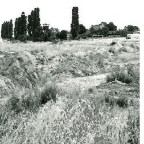 Zur Info: Gr&uuml;ndungstag des KGV Rosenthal-S&uuml;d