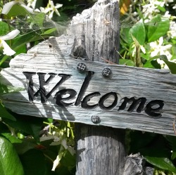 Liebe Gartenfreundinnen und liebe Gartenfreunde,